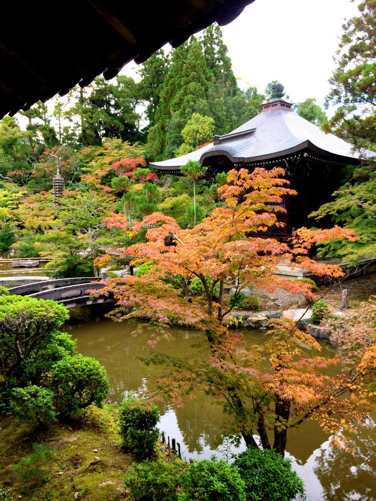 4 Wochen in Japan
