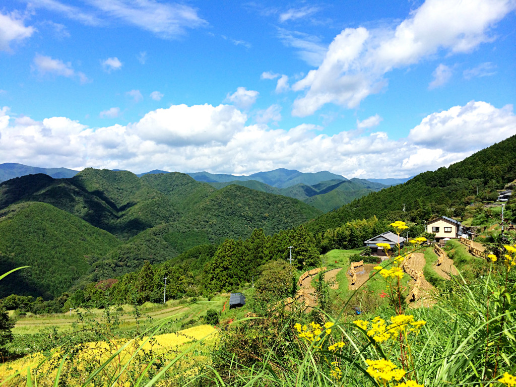 4 Wochen in Japan