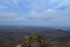 Wahrheit über Curaçao | truth about Curacao