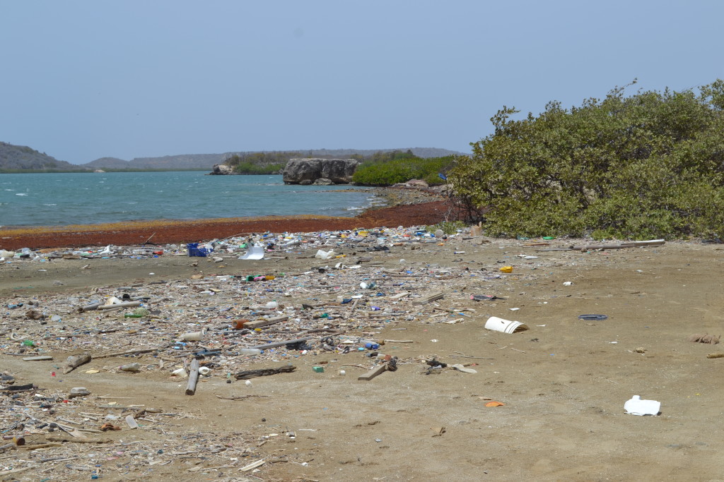 Wahrheit über Curaçao | truth about Curacao
