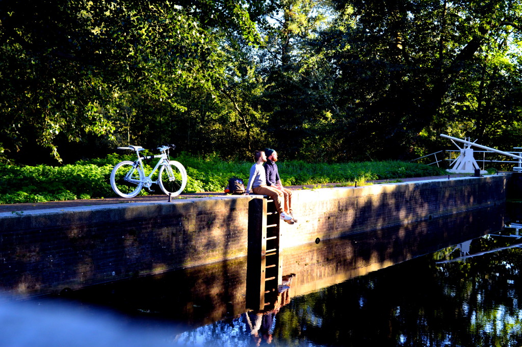 Biking Amsterdamse Bos in Autumn