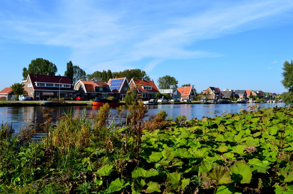 Biking Amsterdamse Bos in Autumn