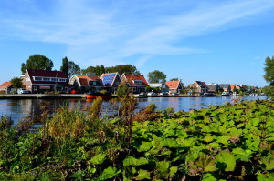 Biking Amsterdamse Bos in Autumn