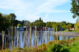Biking Amsterdamse Bos in Autumn