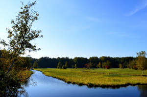 Biking Amsterdamse Bos in Autumn