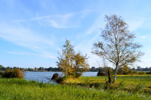 Biking Amsterdamse Bos in Autumn