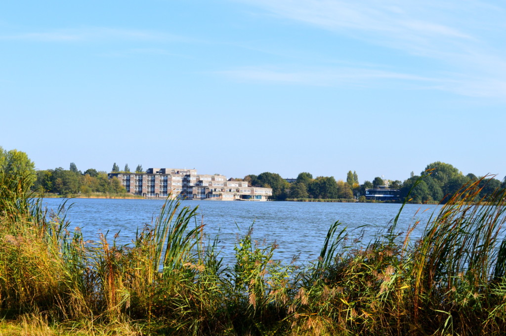 Biking Amsterdamse Bos in Autumn