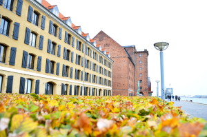 Gay Autumn City Moments Copenhagen