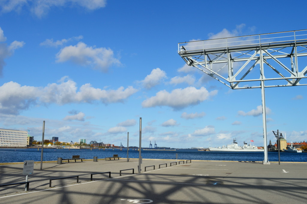 Gay Autumn City Moments Copenhagen