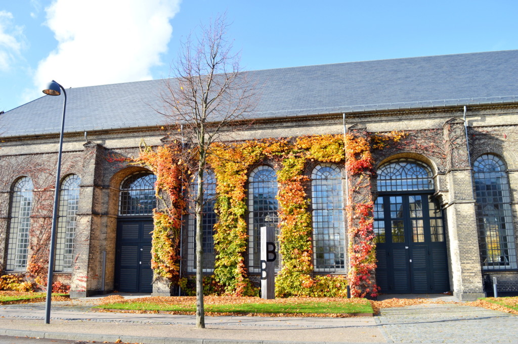 Gay Autumn City Moments Copenhagen