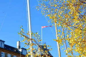 Gay Autumn City Moments Copenhagen