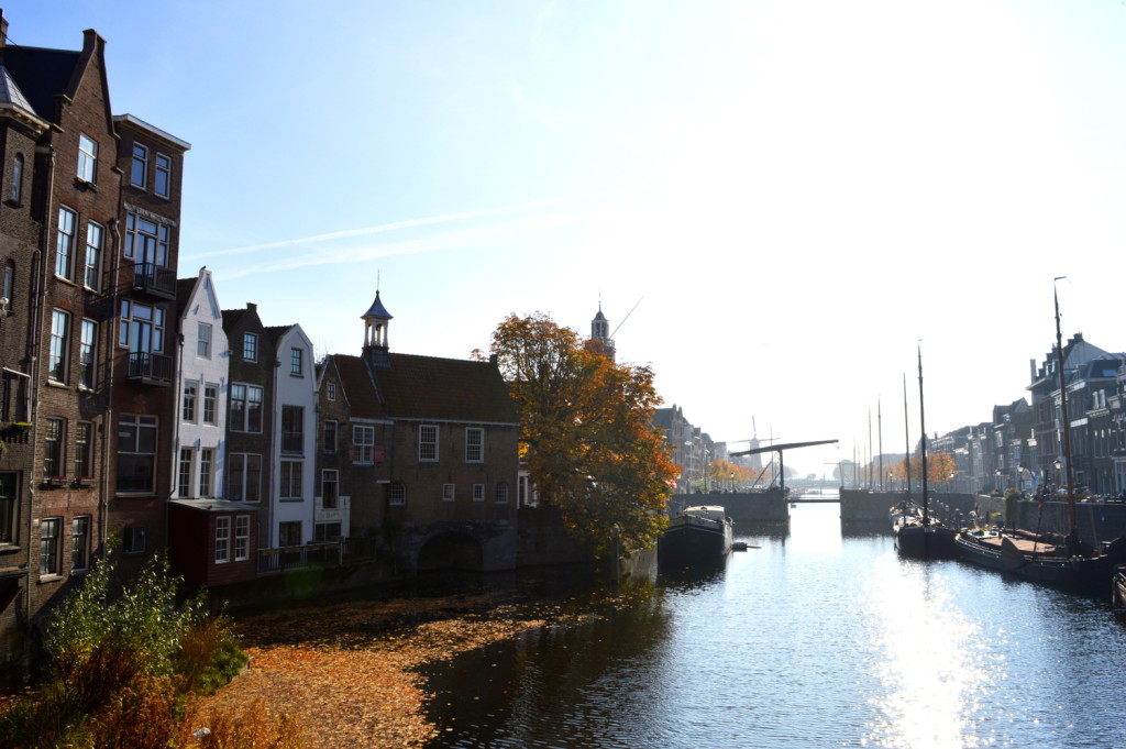 Autumn City Moments Rotterdam