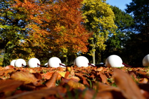 Autumn City Moments Rotterdam