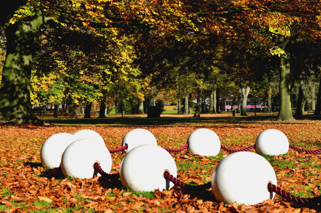 Autumn City Moments Rotterdam