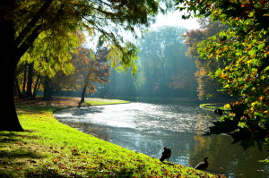 Autumn City Moments Rotterdam