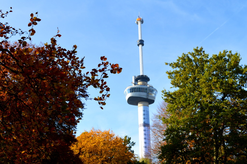 Autumn City Moments Rotterdam