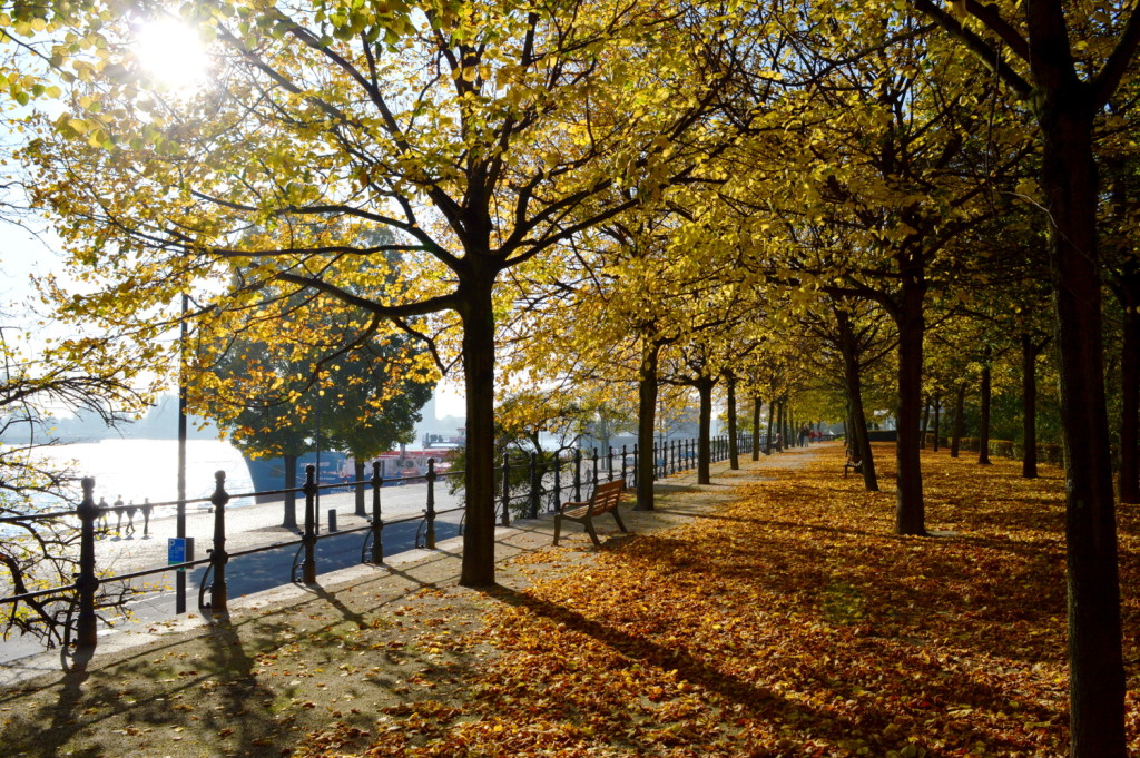 Autumn City Moments Rotterdam