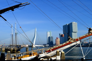 Autumn City Moments Rotterdam