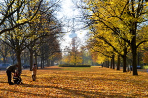 Autumn City Moments Rotterdam