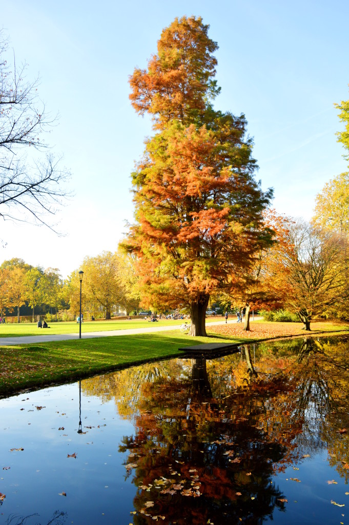 Autumn City Moments Rotterdam