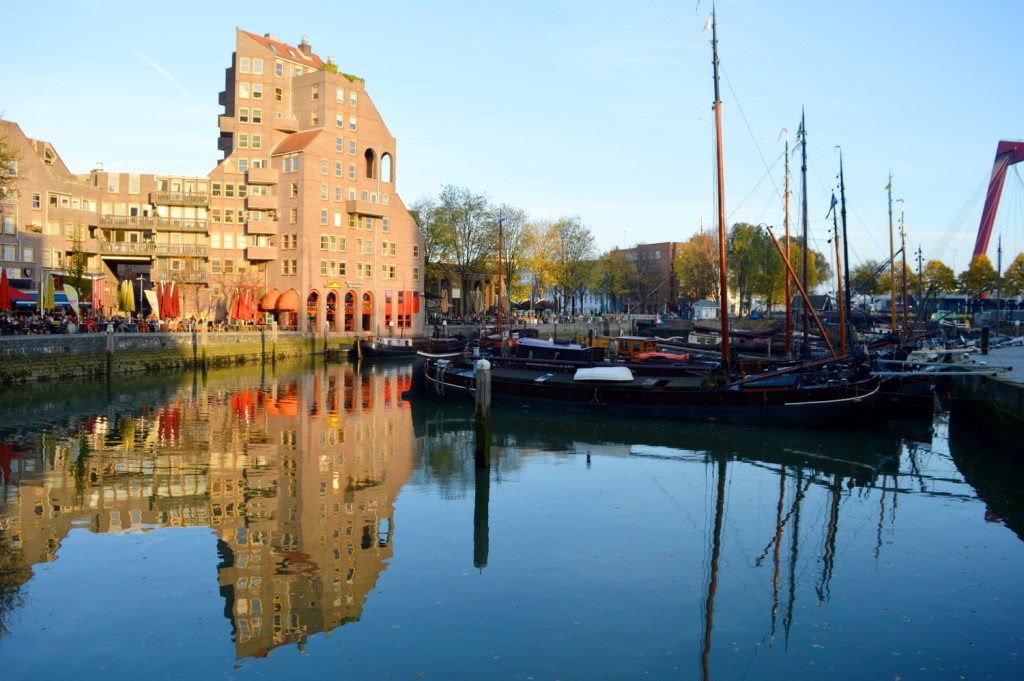 Autumn City Moments Rotterdam