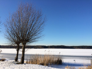 Spree Forest in Brandenburg