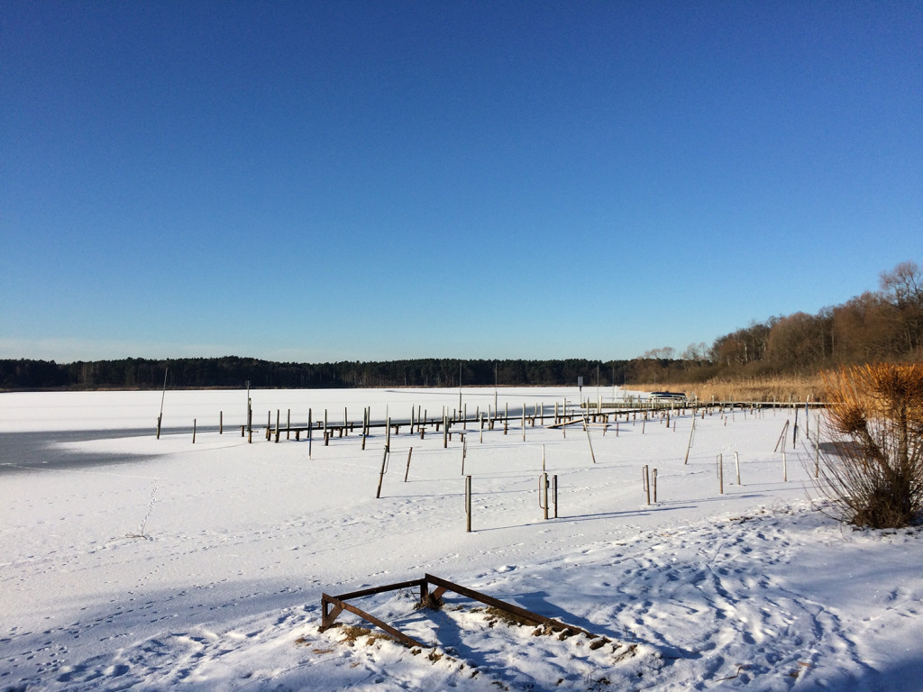 Spree Forest in Brandenburg
