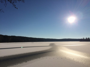 Spree Forest in Brandenburg