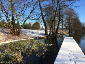 Spree Forest in Brandenburg