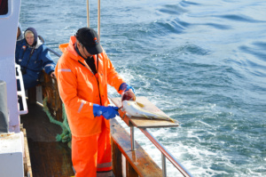 Gay Travel Roadtrip North Iceland